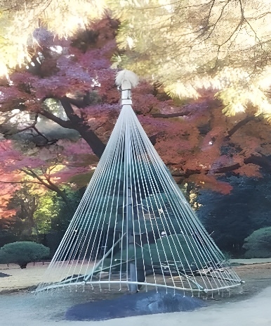 雪吊り(昨年の様子)