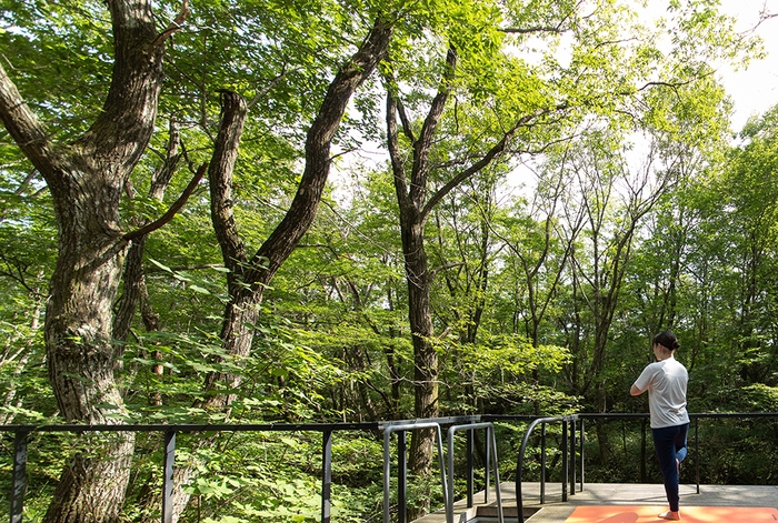 【森の朝ヨガ】慌ただしく過ごす現代人にはぴったりのリラックス法です