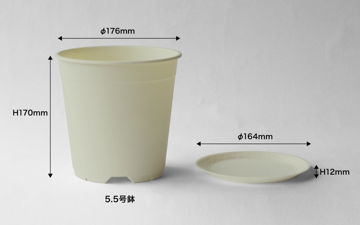鉢・受け皿サイズ(3)
