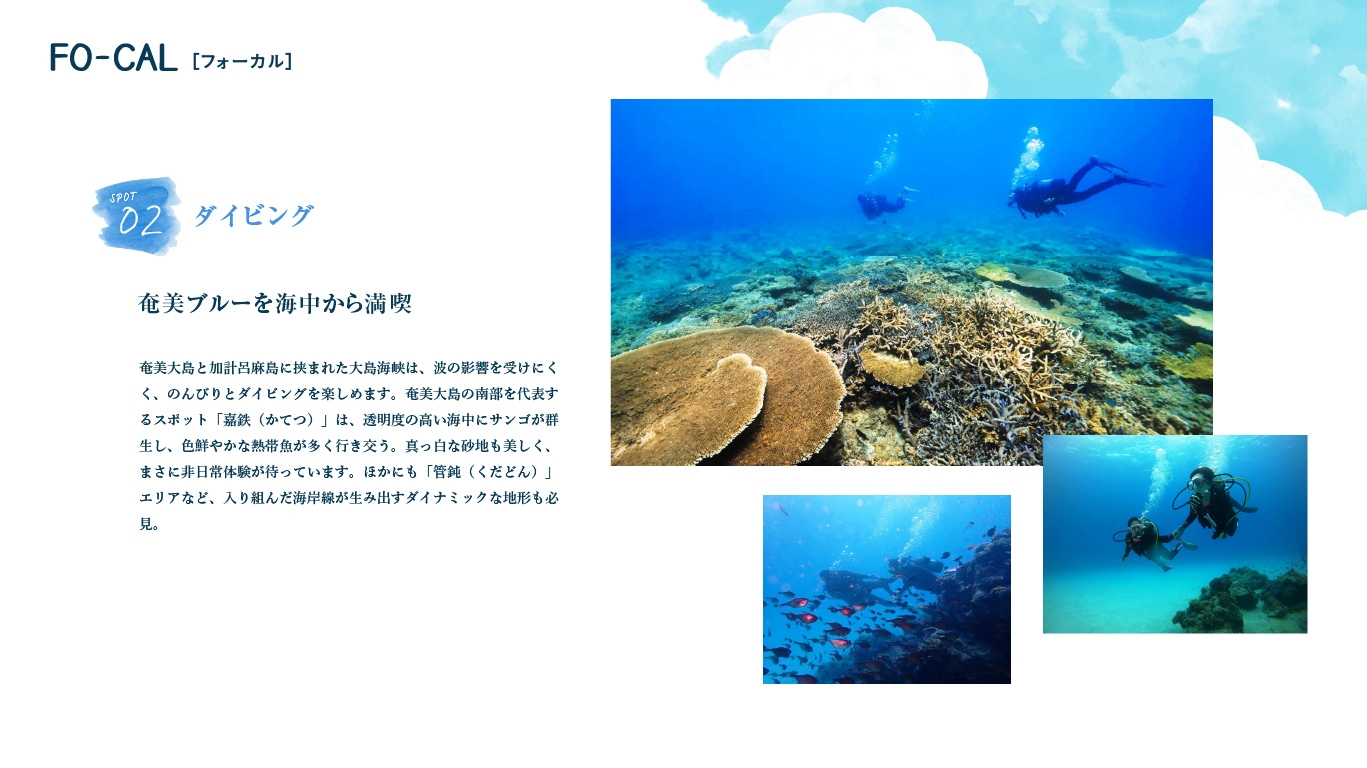 「旅色FO-CAL」瀬戸内町特集:瀬戸内町の旅体験