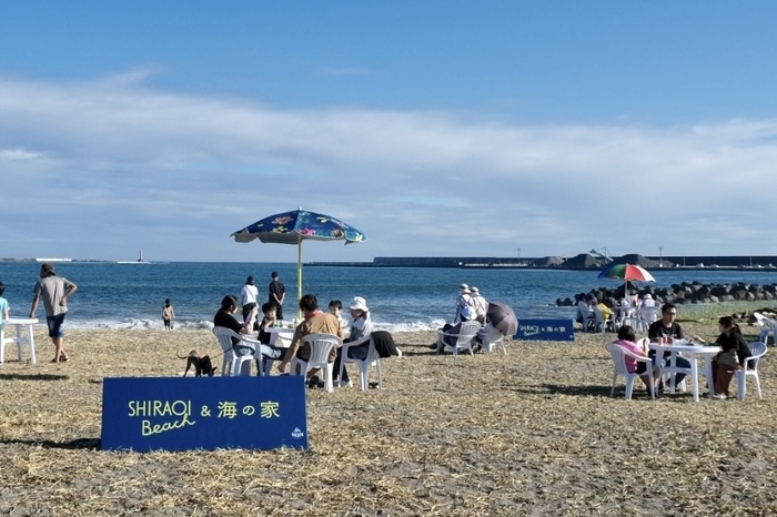 「SHIRAOI BEACHと海の家」2024年度開催の様子