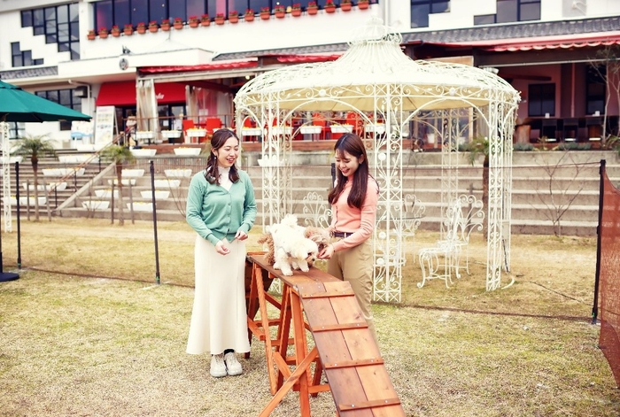 愛犬と一緒にアクティビティに参加