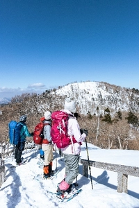 観光バスで行く　静寂の冬の大台ヶ原バスツアー ～冬期通行止めのドライブウェイをツアーのために特別除雪！～