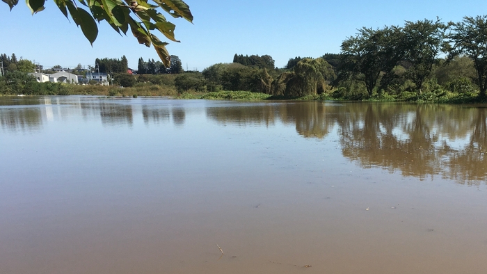 水没した時の畑(2019年)