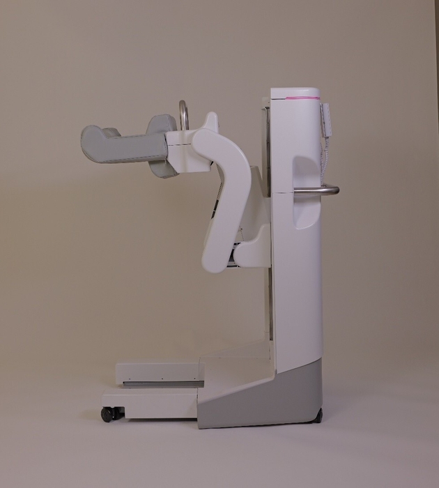 『すくっとたてる君』(3)