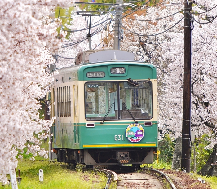 嵐電「江ノ電号」 (モボ631形631号車)