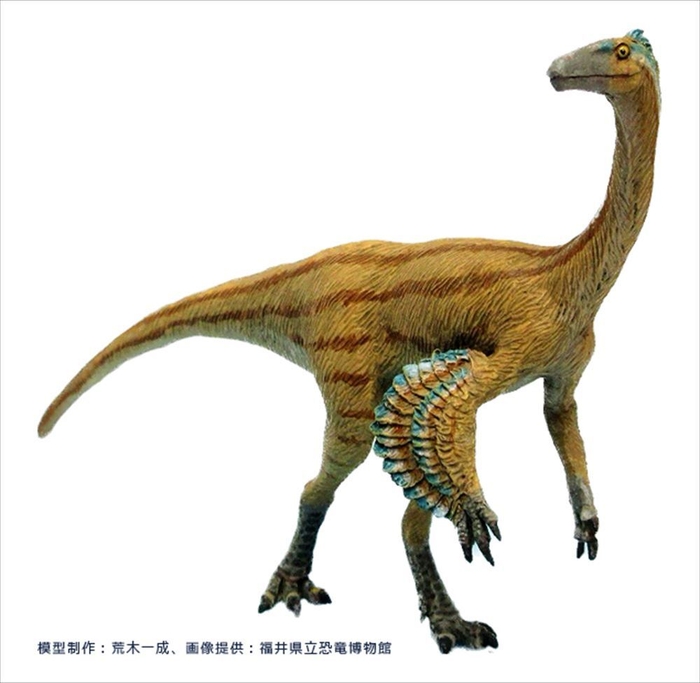 ティラノミムス・フクイエンシス （復元イメージ）