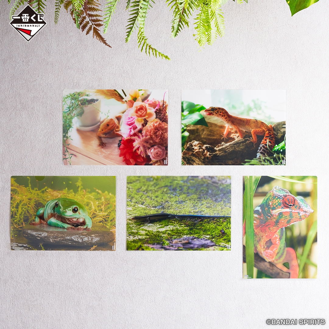 G賞:バリエーションクリアファイル(イメージ2)