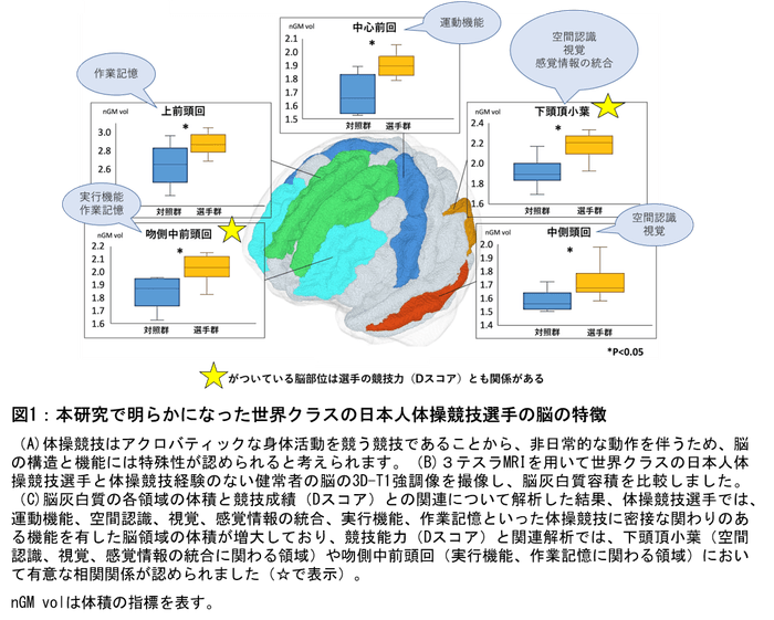 図1-C