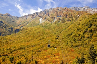立山黒部アルペンルート、 全国旅行支援「秋割キャンペーン」販売開始(10/11～11/2)