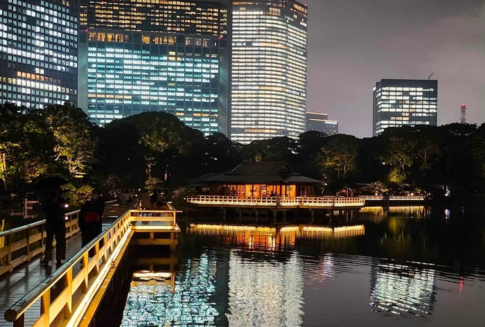 過去のライトアップの様子