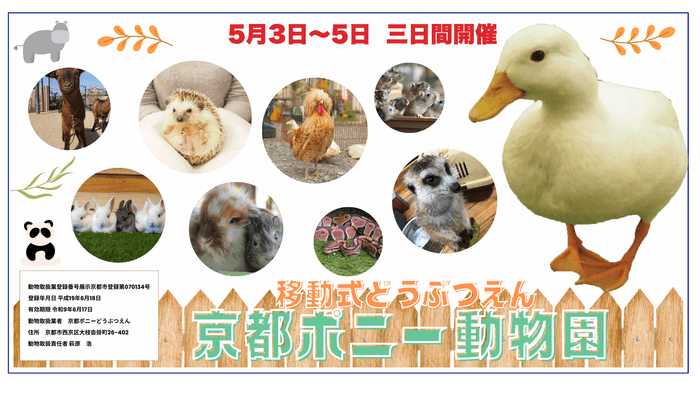 京都ポニーどうぶつえん