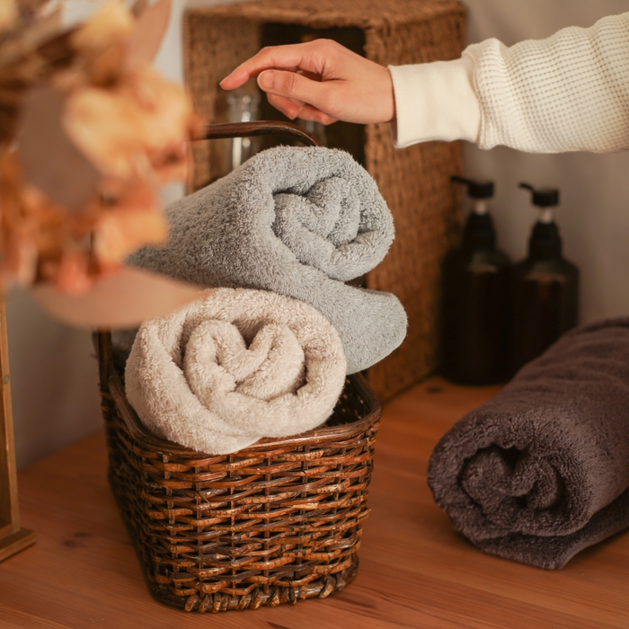 エアーかおる東京丸