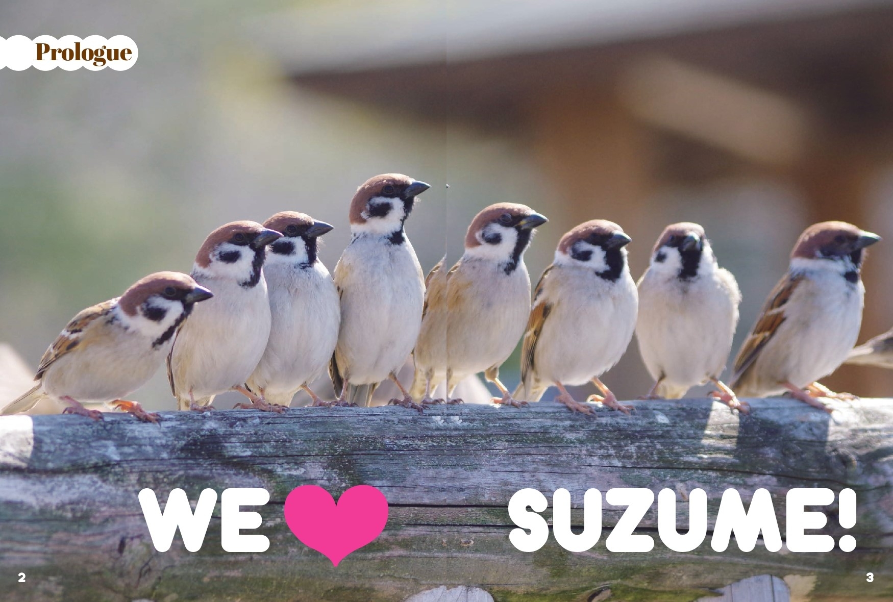 WE♡SUZUME!