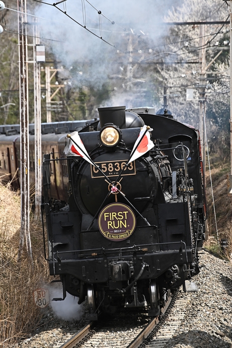 SLパレオエクスプレス イメージ