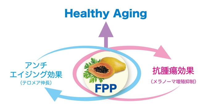 (図1)FPP(パパイヤ発酵食品)のアンチエイジング効果と抗腫瘍効果