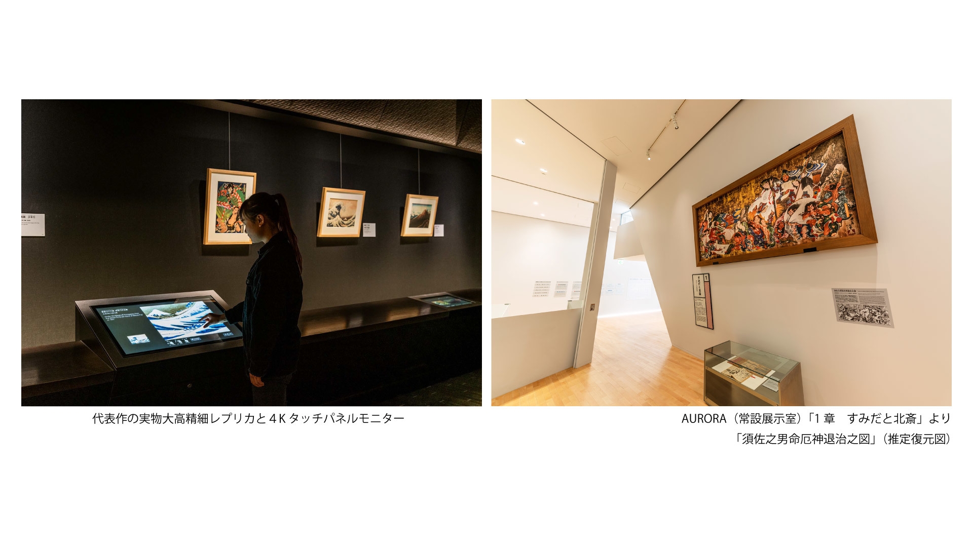 すみだ北斎美術館 施設写真 AURORA(常設展示室)