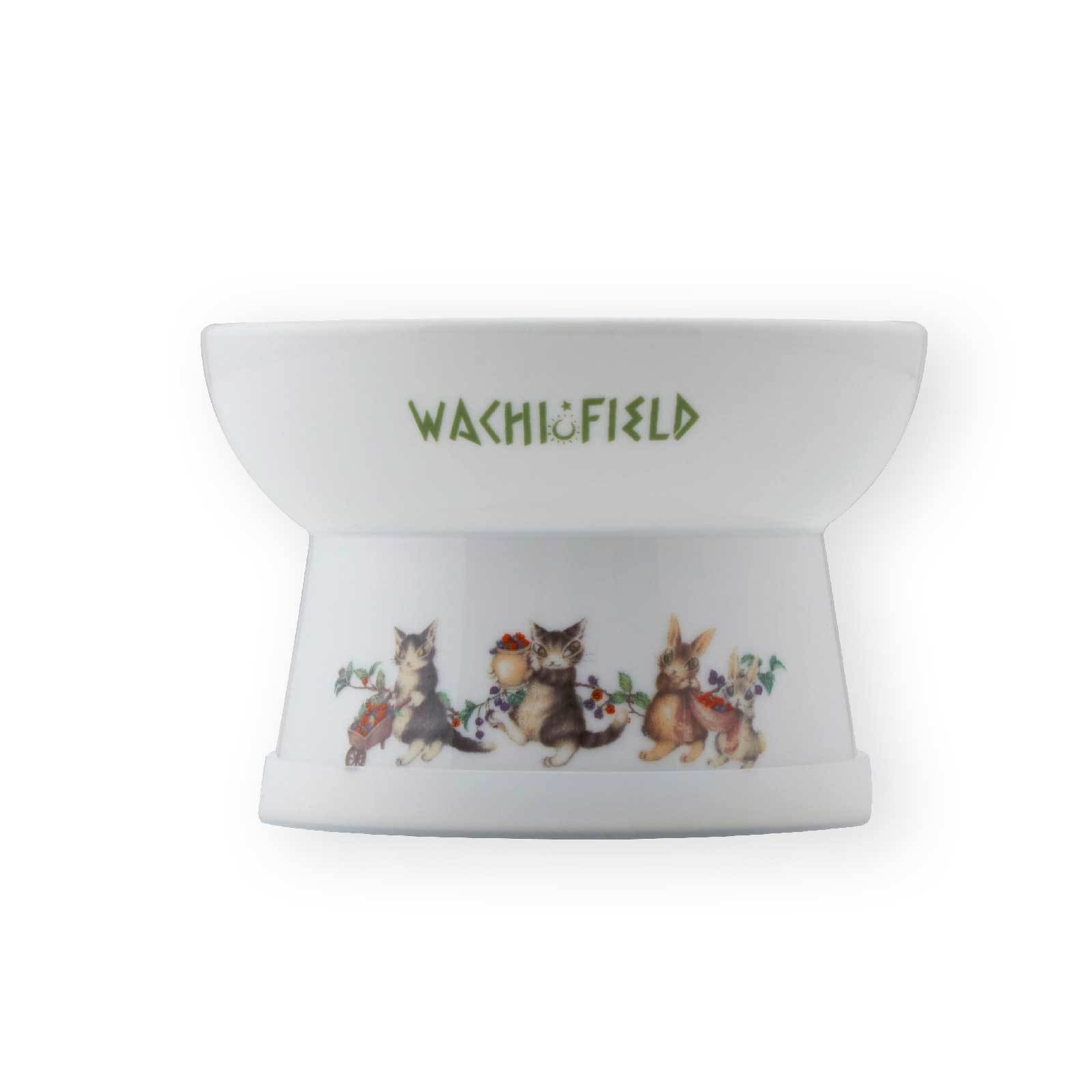 猫用 脚付フードボウル レギュラー ダヤン ベリーベリーサンクス2