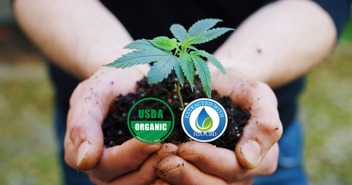 H2Oアイソレート検出限界0.04ppmにてTHC未検出