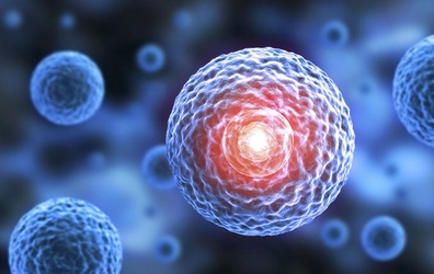 日本の3D細胞培養市場規模は、2034年までに5億6540万米ドルを超え、年平均成長率（CAGR）は13.97%に達する見込み。