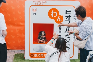 「わんビオフェルミンS」をジャパンわんこフェスタ2025秋inお台場に出展