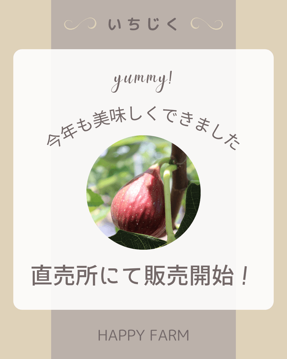 直売所にて販売開始!