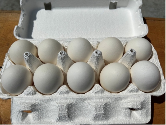 生産者さんの卵特売