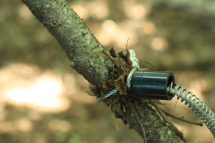 「猟師に弟子入り体験」イメージ3