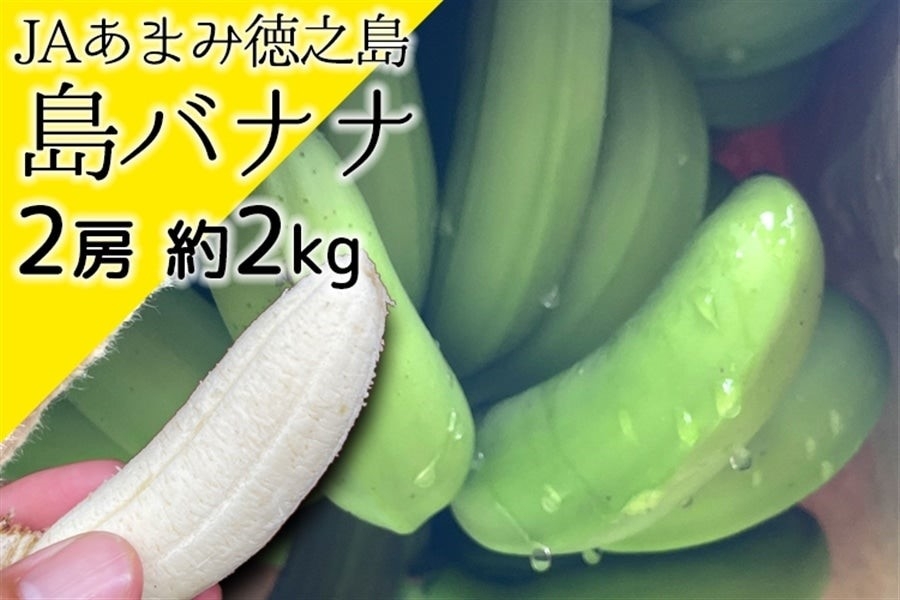 島バナナ