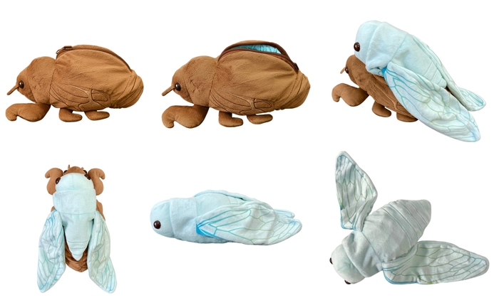 抜け殻からセミぬいぐるみ2