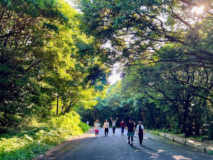 朝の散歩(森林浴)