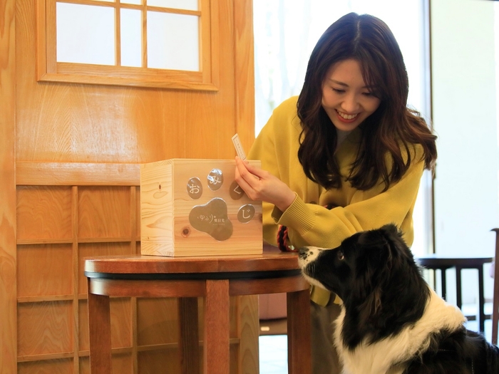 おみくじ