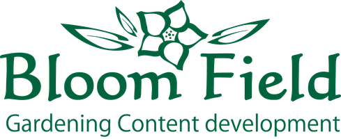 株式会社アイ・アンド・プラス