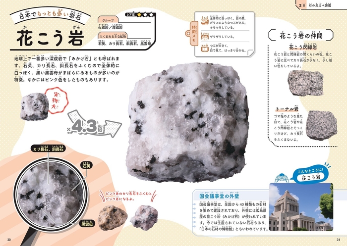 2章 石の見比べ図鑑 火成岩
