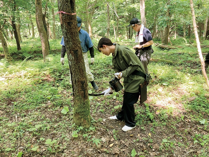 職人からの漆掻きのレクチャー風景