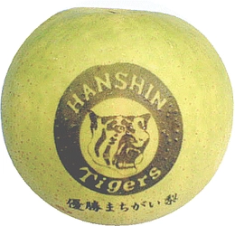 六甲おろしを聴かせて育てた“猛虎魂”あふれる梨 「阪神タイガース優勝まちがい梨」出荷開始！