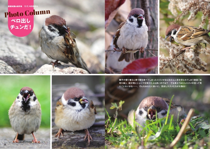 フォトコラム「ベロ出しチュンだ!」