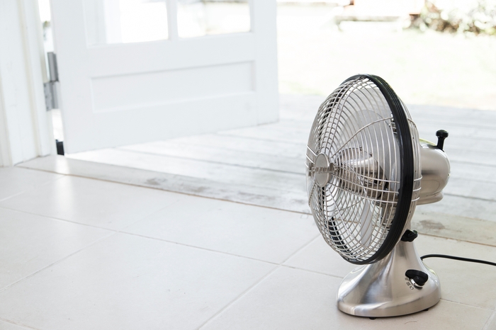 シルバースワン