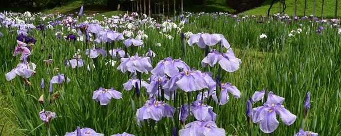 昨年５月28日の様子