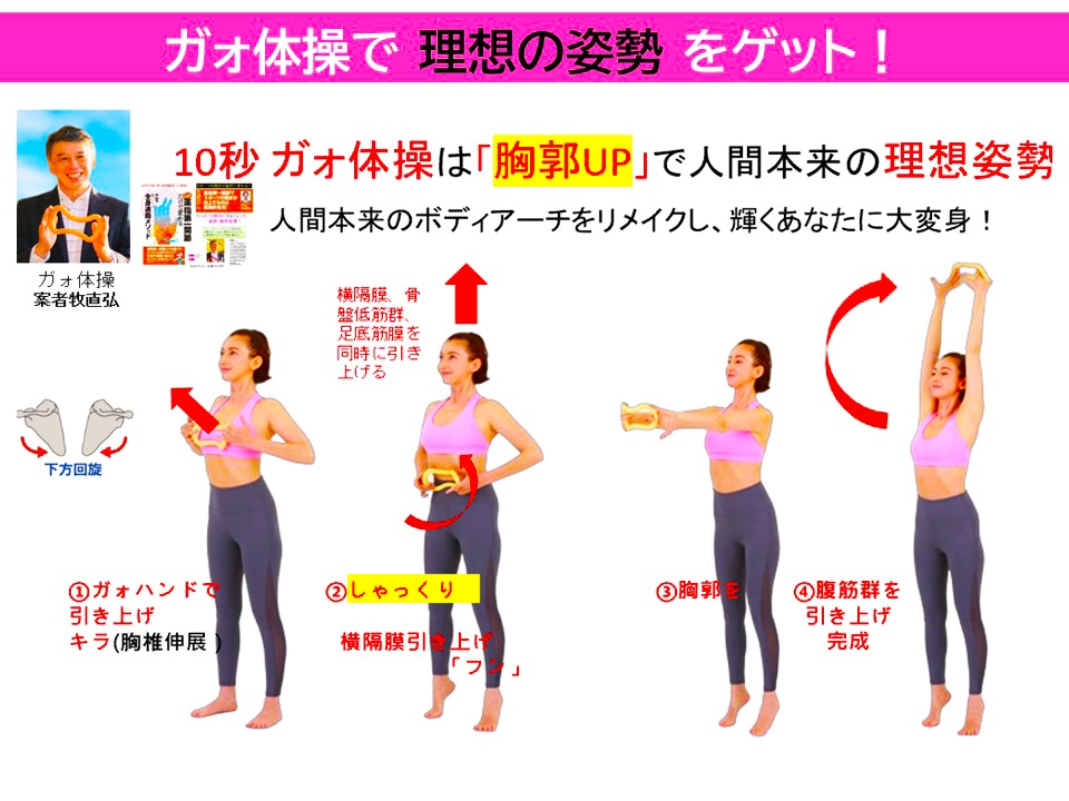 ドジャーブルー ウェーブストレッチリング ガォ体操 胸郭UP