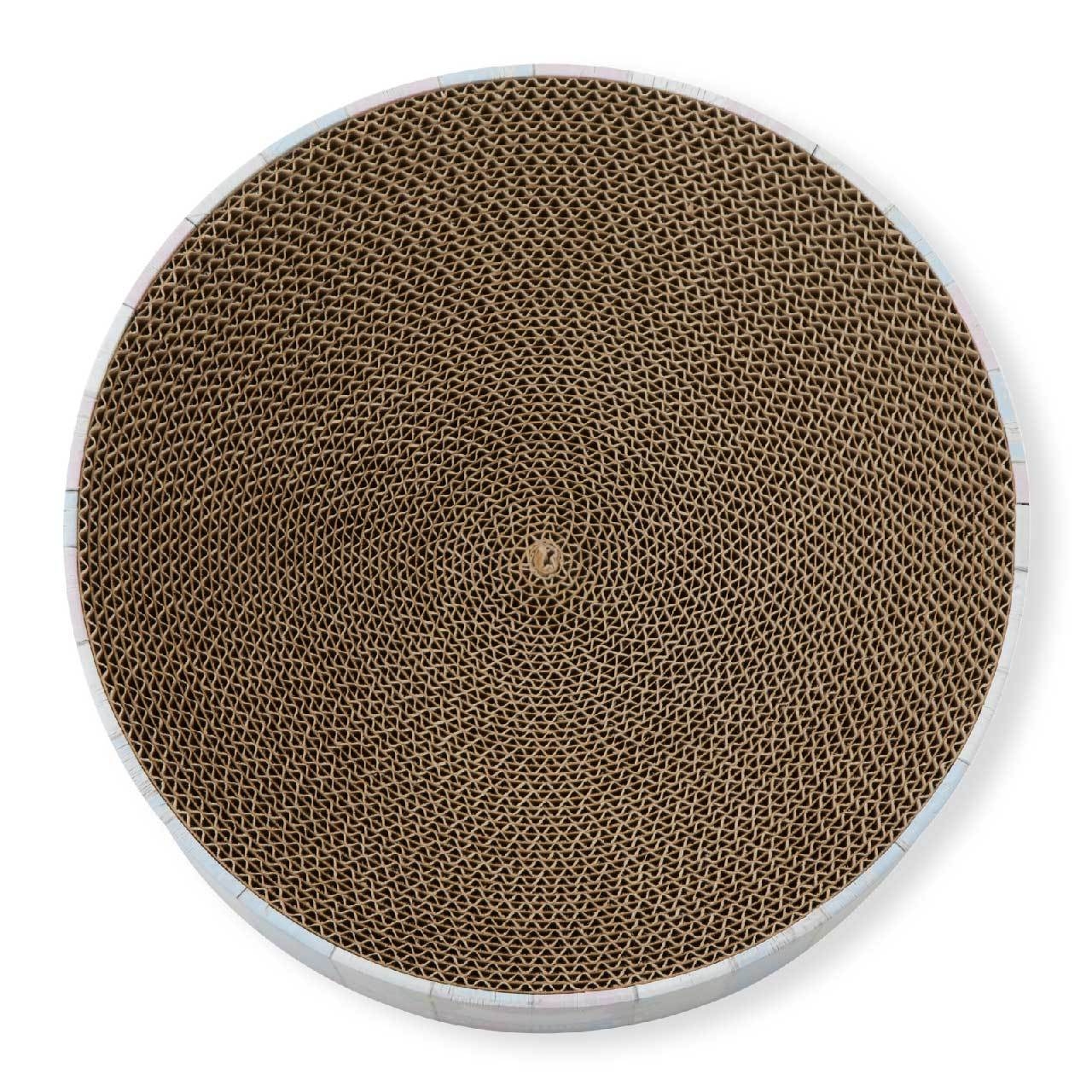 バリバリボウル子猫用 上面画像