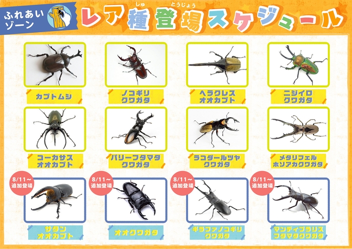 ふれあいゾーン レア種登場スケジュール