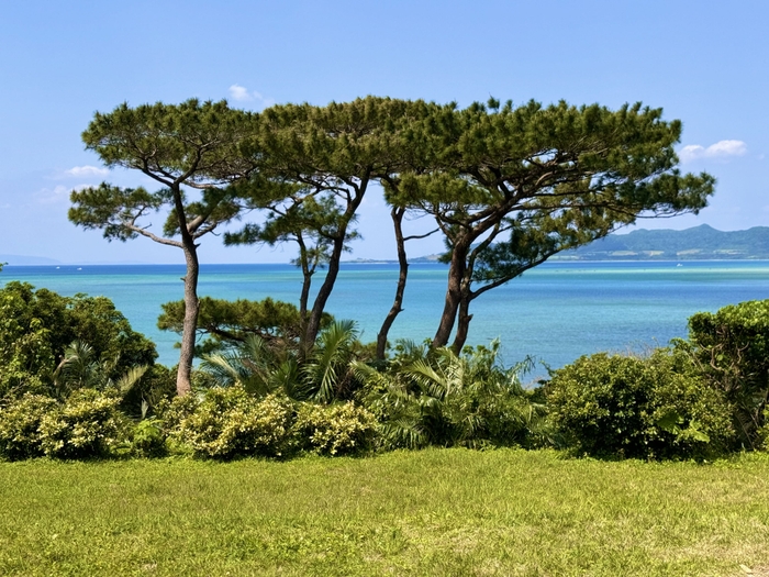 オーシャンビュー