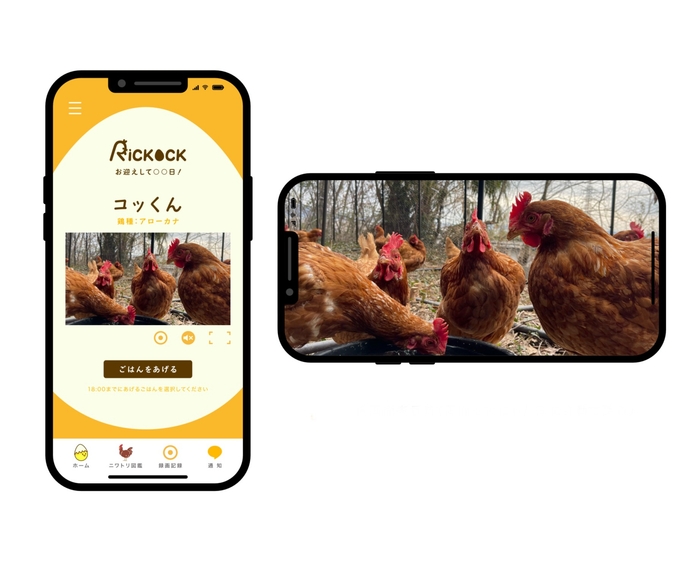 「リコック」のトップページとライブ配信されるニワトリたち（毛利さん提供）