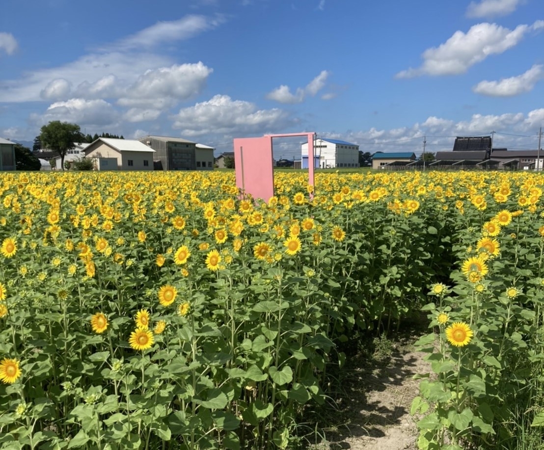 堂前農園(高岡市)