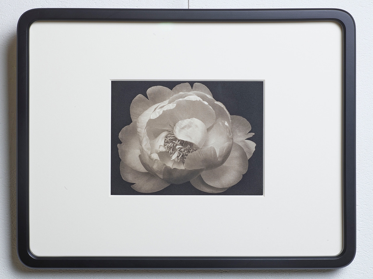 Platinum/Palladium Flowers #245