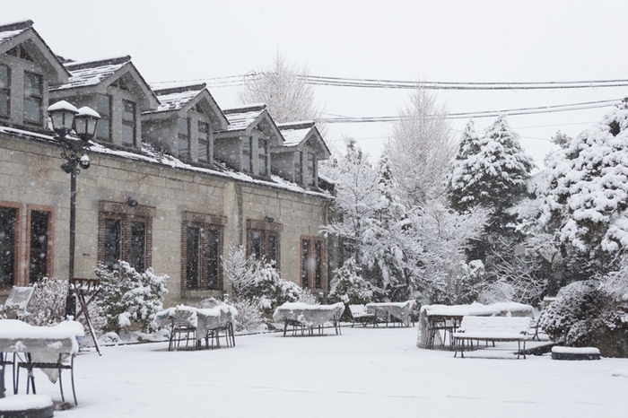 大正7年創業 世嬉の一酒造