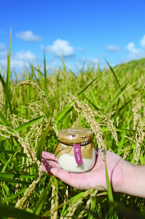 輪島プリン千枚田のお米 6