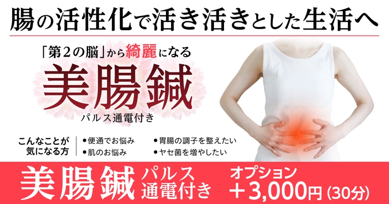 相模原市・多摩市の鍼灸院「はり灸マッサージ　みなぎる美体」にて 8月18日(月)より腸を整えるパルス付き美腸鍼を開始