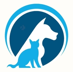 ふわふわペットタクシー【横浜】全国